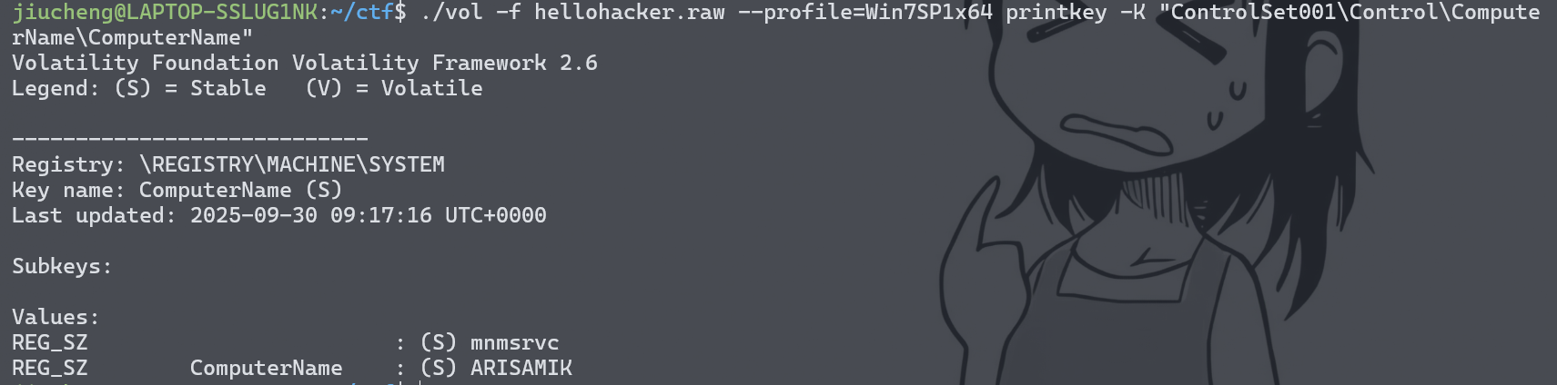 image-20260215145414917